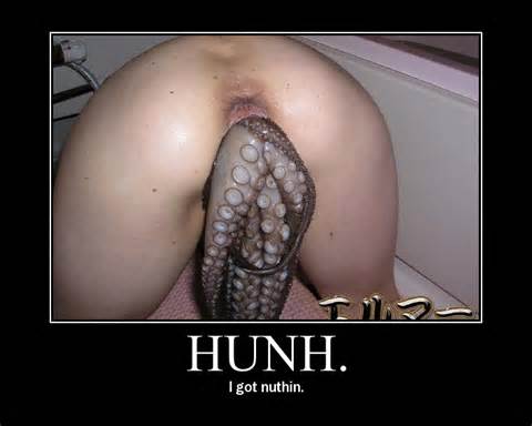 Octopus Boobs draad NSFW Zoklet Net