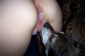 Hond likken van Pussy bestialiteit hond Lick hond likken meisjes Pu