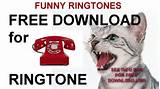 Grappige Ringtones boos Kat gratis Ringtone-YouTube