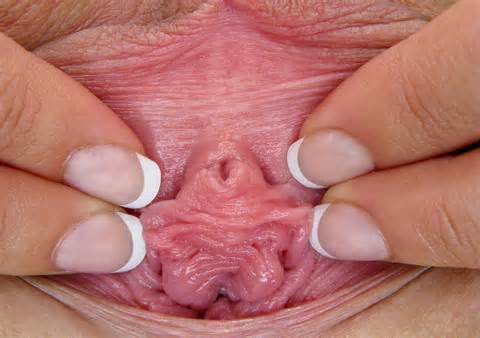 Voor meer verbazingwekkend close-ups opvolgen om de beste