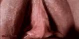 Close-up van Pussy Fucking actie porno Gifs Sex Gifs