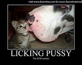 Likken van Pussy Demotivational Demotivational Poster Posters