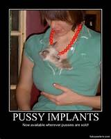 Kut implantaten Demotivational Poster FakePosters Com