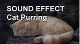 Kat spinnen geluidseffect YouTube