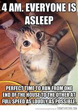 Geluid Cat Logic