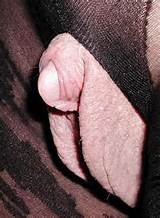 Porno Wild Hayden Panettiere Sex Pics Pools meisjes porno Pix