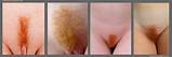 Vrouwelijke schaamstreek kapsels vrouwen Hair Removal Fichier mannelijke schaamhaar